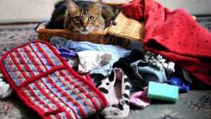 5 Klet-klepomanov, který se proslavil celý svět